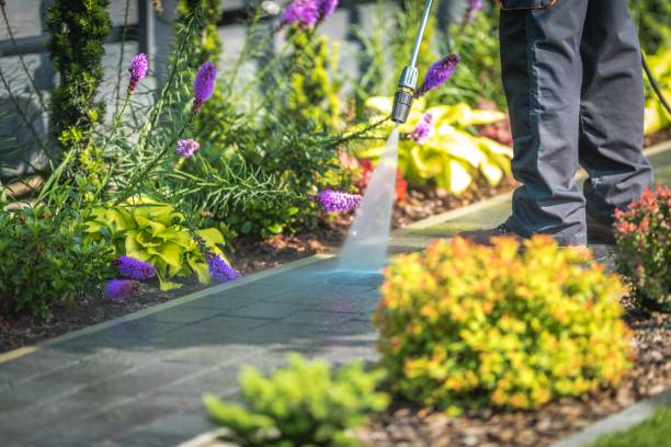 Trusted Columbia, MS Pressure Washing Services Experts